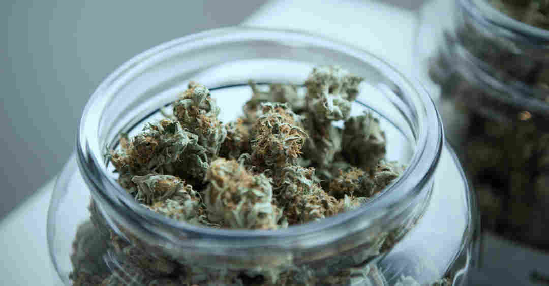 New Michigan Marijuana Laws May Affect Your Conviction