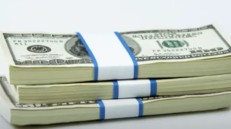 Federal Money Laundering: Understanding the Basics Federal Money Laundering: Understanding the Basics