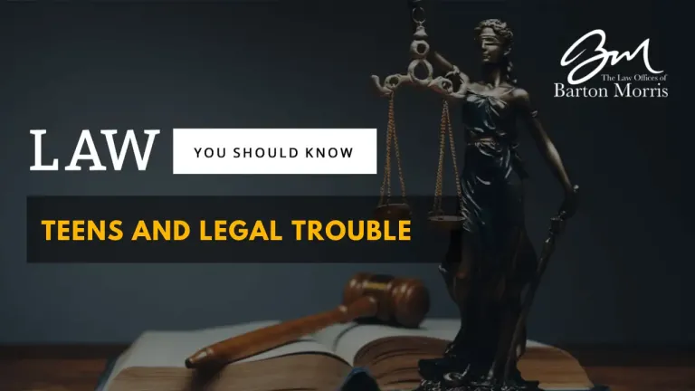 Who is Considered a Youthful Offender in Michigan? Who is Considered a Youthful Offender in Michigan?